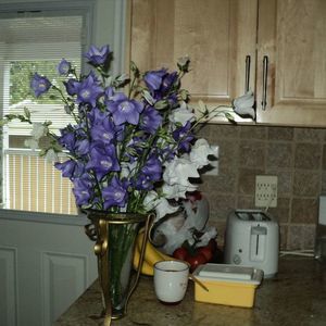 Meet your Posher, Toshiko